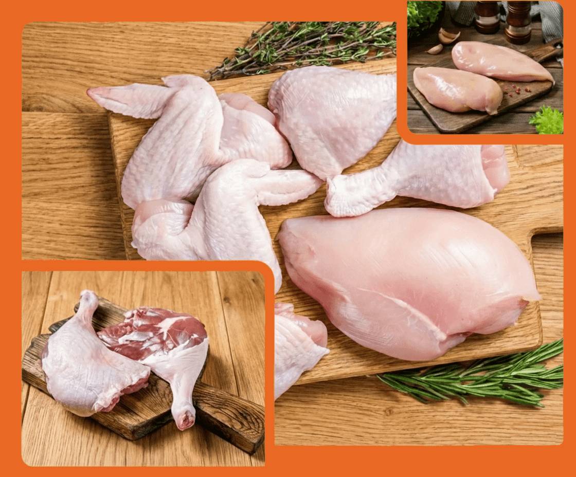 Bakwena Poultry Farm fresh chickens and eggs